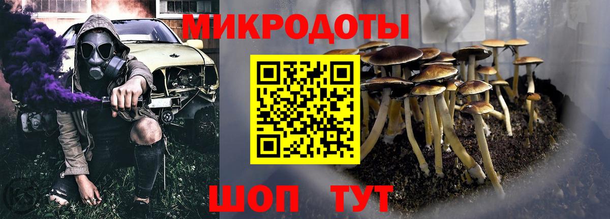 Псилоцибиновые грибы Cubensis Полевской
